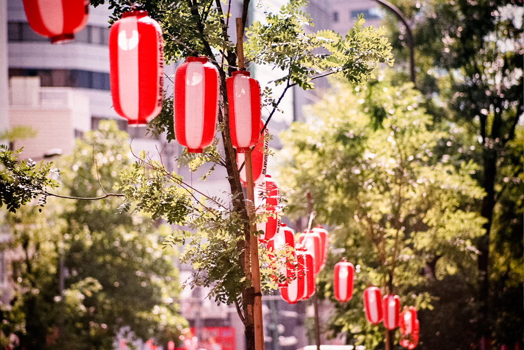 shibuya lanterns